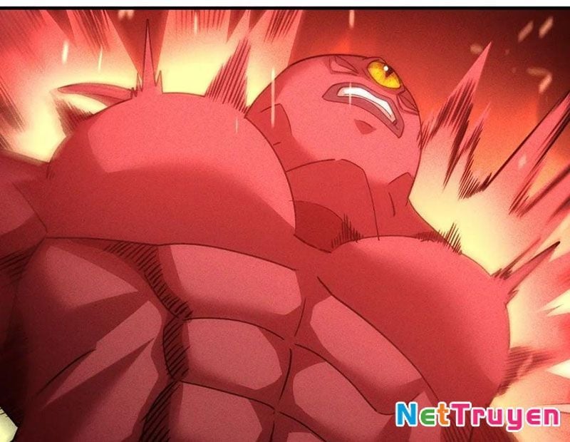 Ta Vô Địch Phản Sáo Lộ Chapter 55 - Trang 2