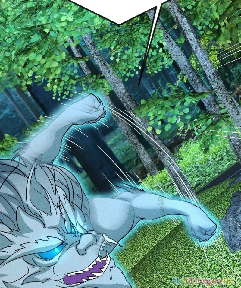 Ta Vô Địch Phản Sáo Lộ Chapter 62 - Trang 2