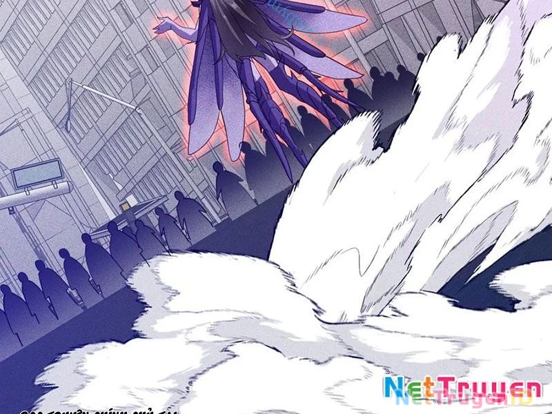 Ta Vô Địch Phản Sáo Lộ Chapter 64 - Trang 2