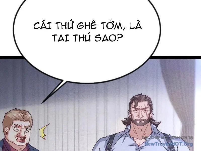 Ta vô địch phản sáo lộ Chapter 67 - Trang 2