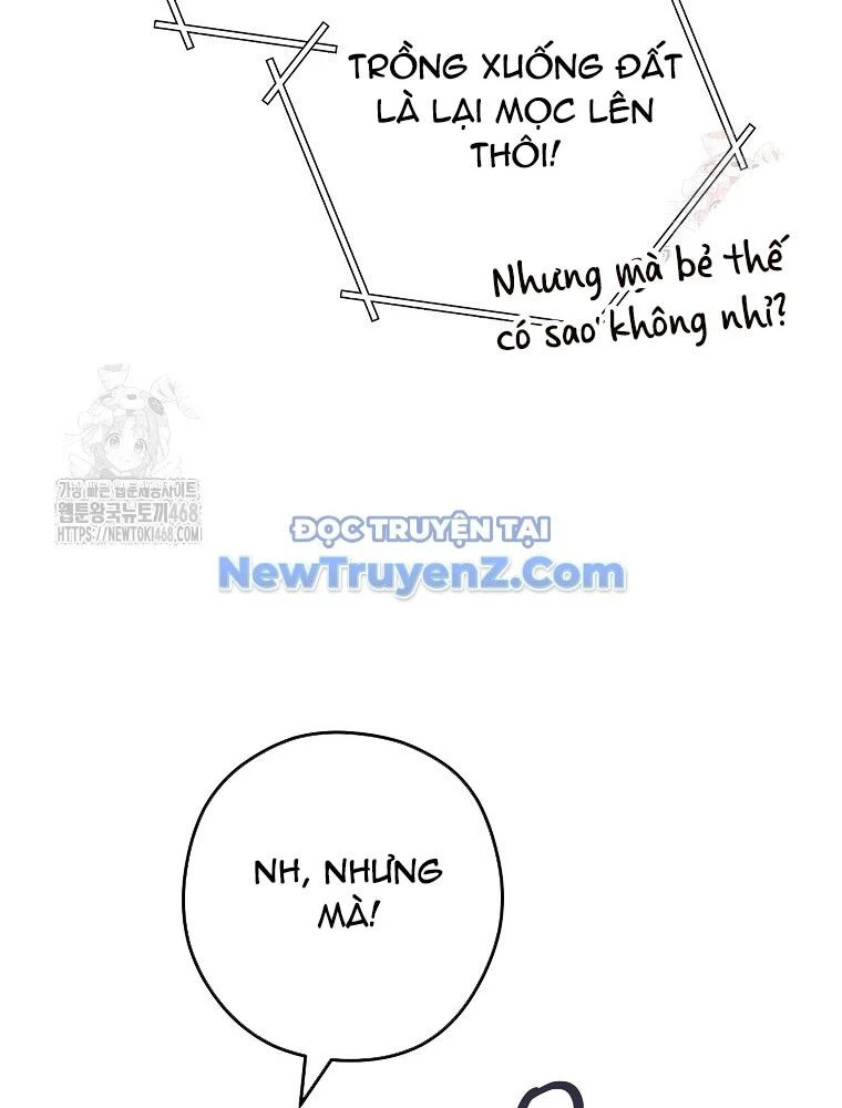 Tái Thiết Hầm Ngục Chapter 248 - Trang 2