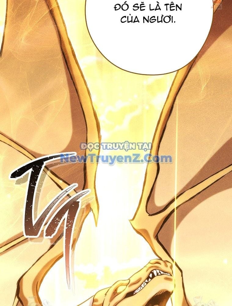 Tái Thiết Hầm Ngục Chapter 248 - Trang 2
