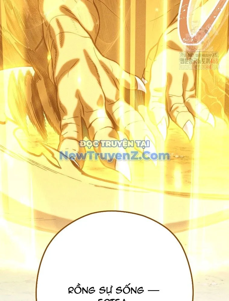 Tái Thiết Hầm Ngục Chapter 248 - Trang 2