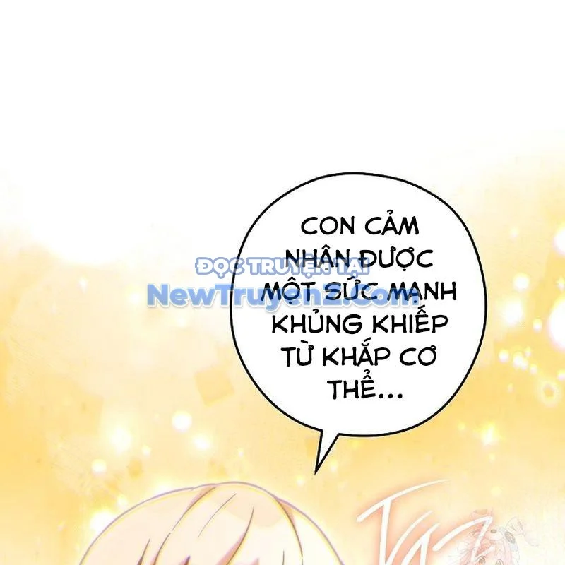 Tái Thiết Hầm Ngục Chapter 249 - Trang 3