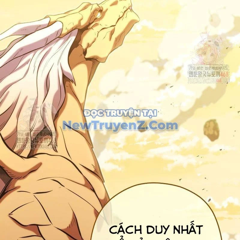 Tái Thiết Hầm Ngục Chapter 249 - Trang 3