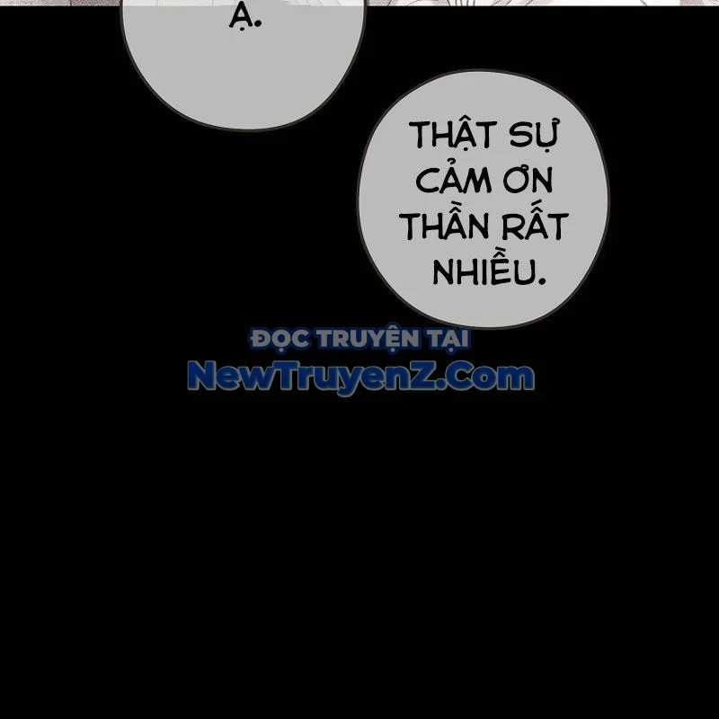 Tái Thiết Hầm Ngục Chapter 249 - Trang 3