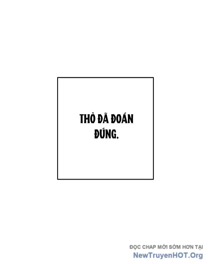 Tái Thiết Hầm Ngục Chapter 251 - Trang 3