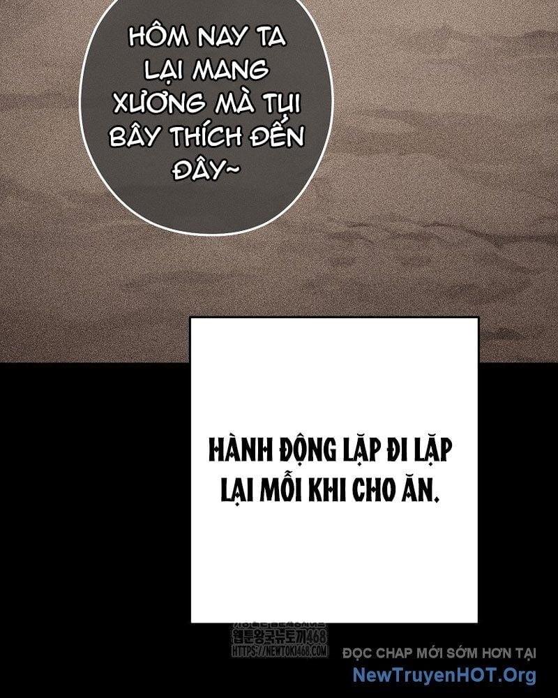 Tái Thiết Hầm Ngục Chapter 251 - Trang 3