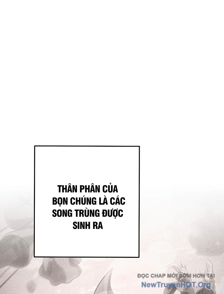 Tái Thiết Hầm Ngục Chapter 254 - Next 