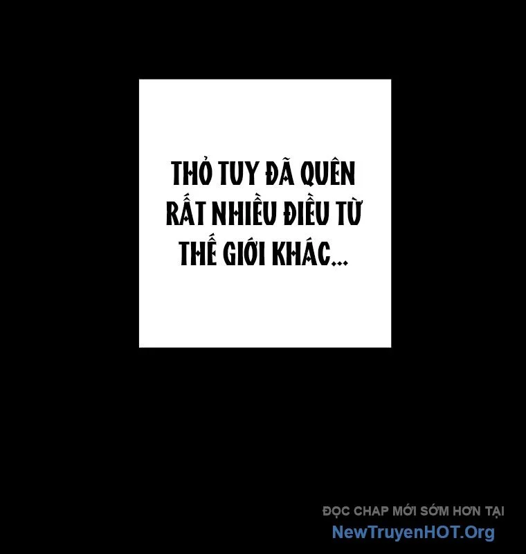 Tái Thiết Hầm Ngục Chapter 258 - Trang 3