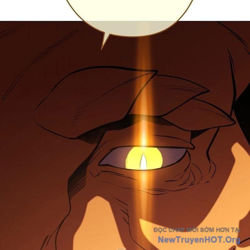Tái Thiết Hầm Ngục Chapter 264 - Next Chapter 265