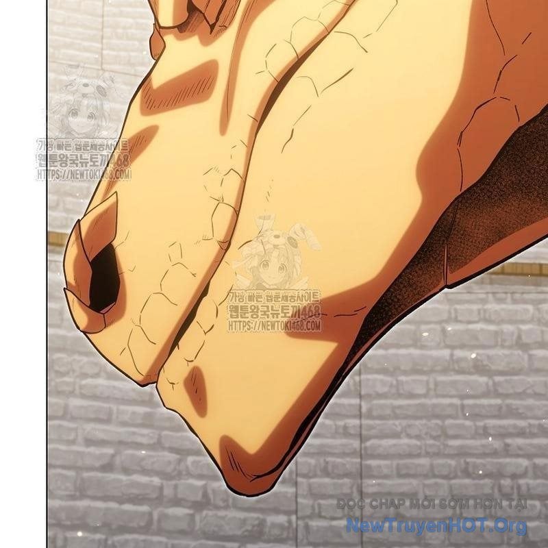 Tái Thiết Hầm Ngục Chapter 264 - Next Chapter 265