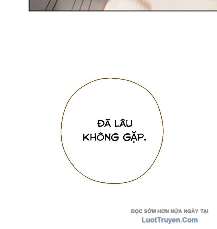Tái Thiết Hầm Ngục Chapter 265 - Trang 2