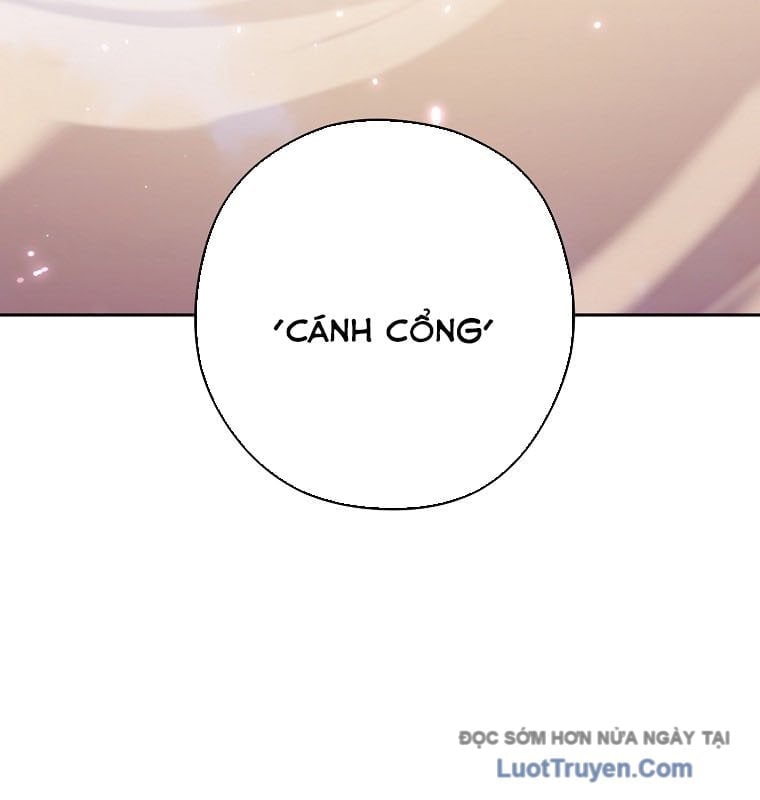 Tái Thiết Hầm Ngục Chapter 265 - Trang 2