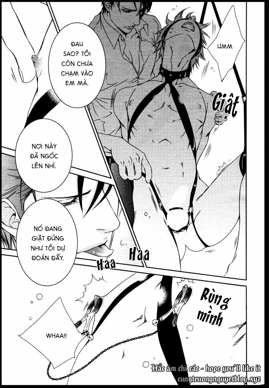 Tầm Ngắm Chapter 84.5 - Next 