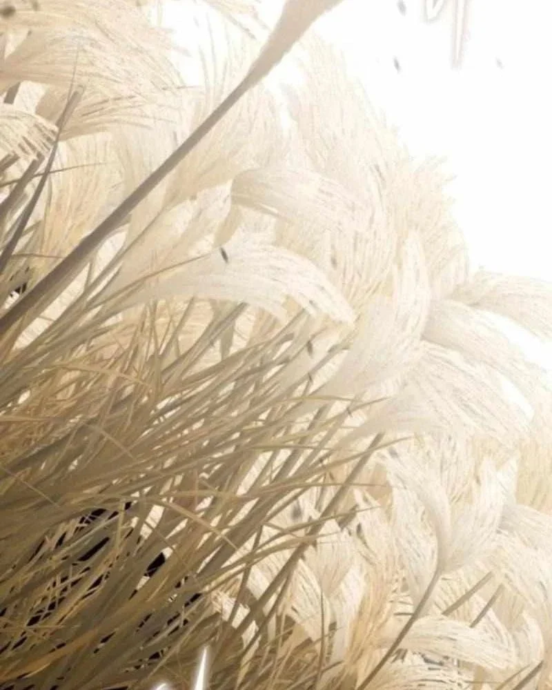 Tanker Hạng C Bất Tử Chapter 40 - Trang 2