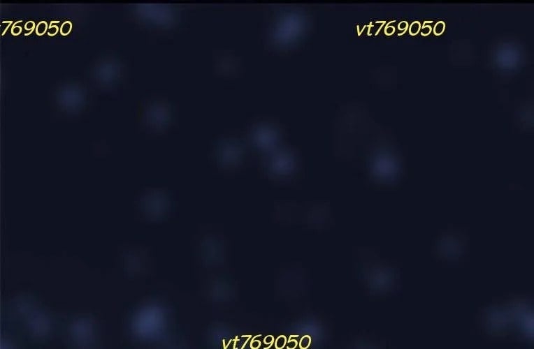 Tạp Huyết Chapter 59 - Trang 2