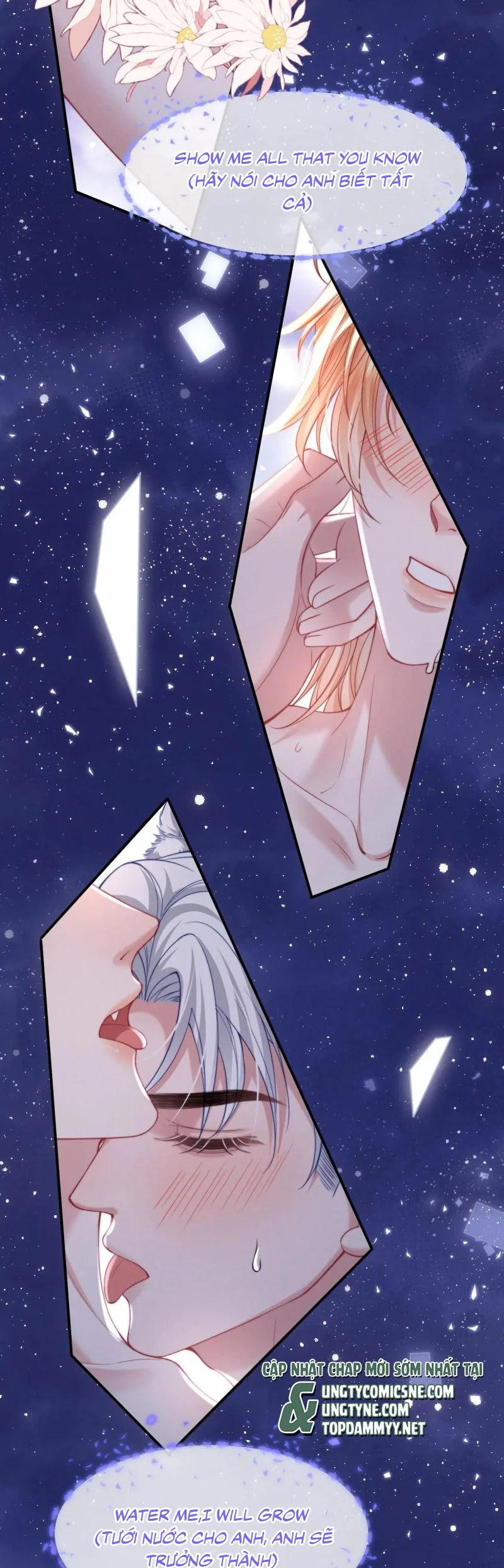 Tật Xấu Nuông Chiều Chapter 39 - Trang 2