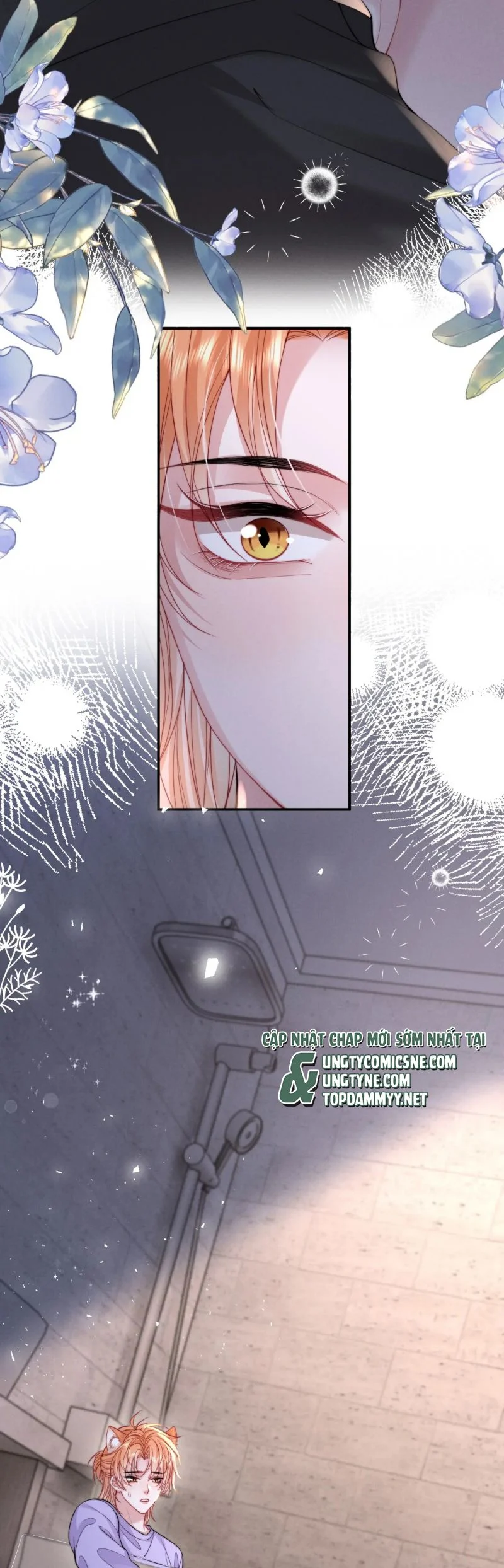 Tật Xấu Nuông Chiều Chapter 39 - Trang 2