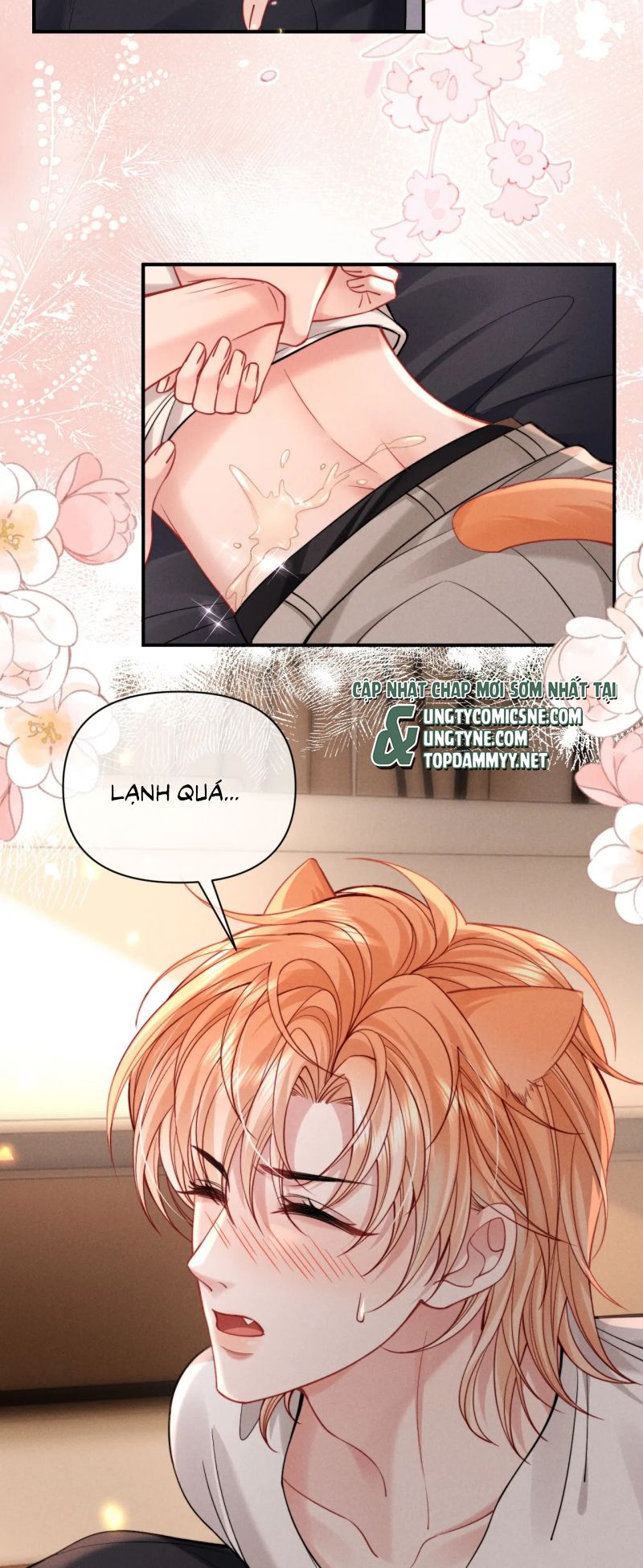 Tật Xấu Nuông Chiều Chapter 49 22