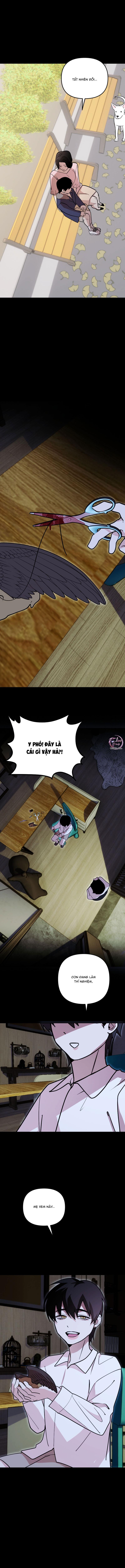 Tên Hàng Xóm Cứ Dán Mắt Vào Tôi Chapter 60 8