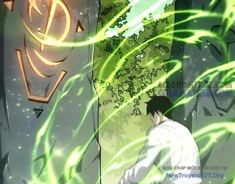 Thảm Họa Tử Linh Sư Chapter 194 - Next 