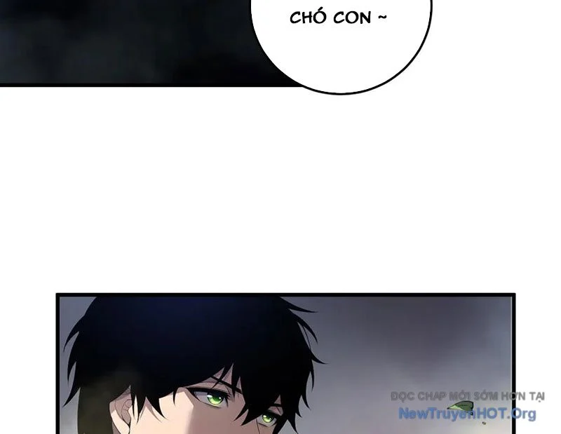 Thảm Họa Tử Linh Sư Chapter 195 - Next 