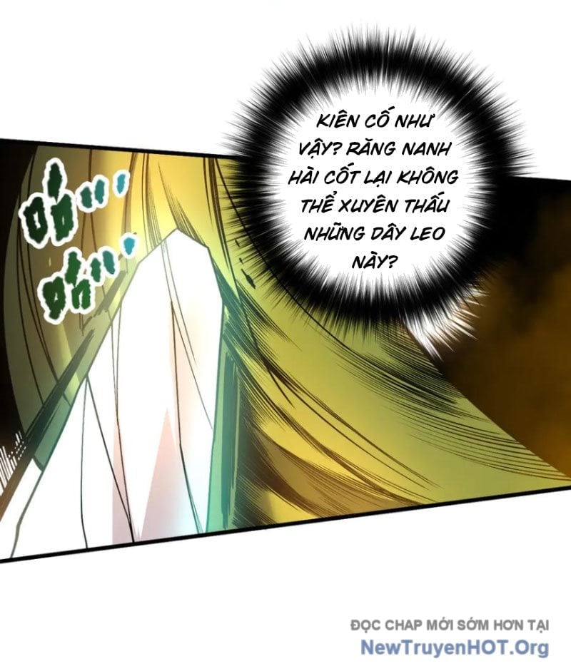 Thảm Họa Tử Linh Sư Chapter 208 - Next 