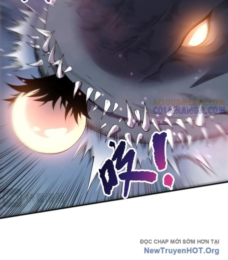 Thảm Họa Tử Linh Sư Chapter 213 - Trang 2
