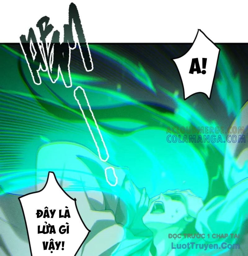 Thảm Họa Tử Linh Sư Chapter 215 - Trang 2