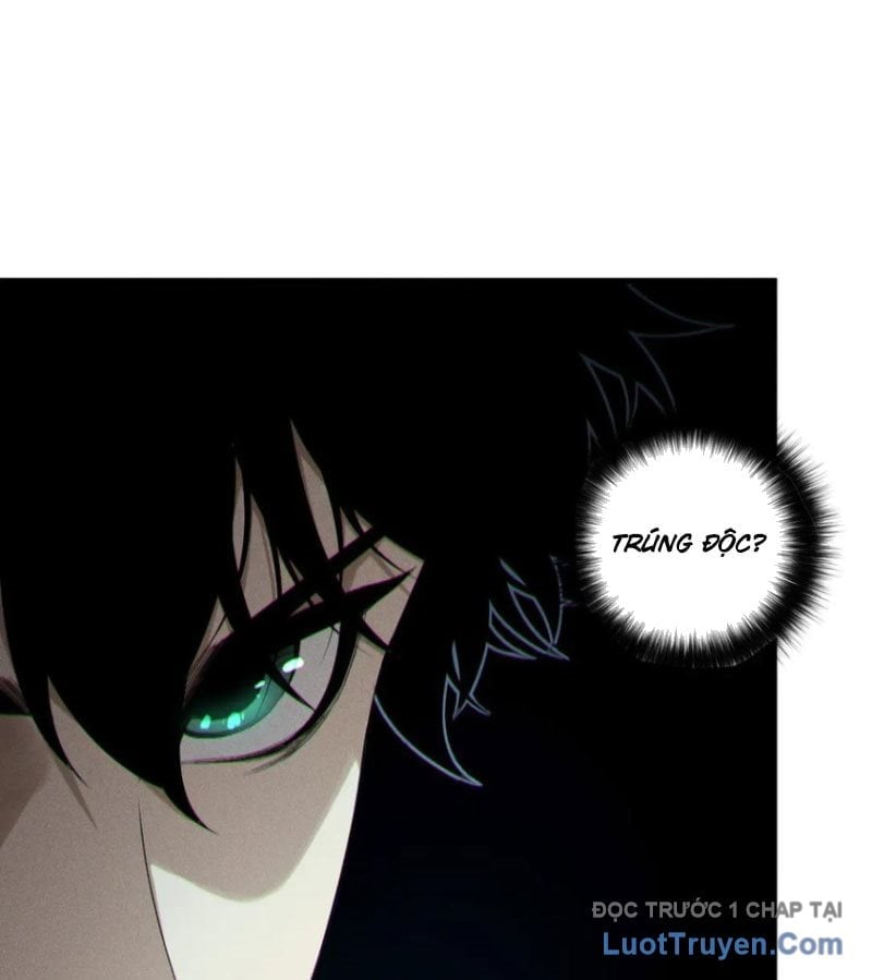 Thảm Họa Tử Linh Sư Chapter 215 - Trang 2