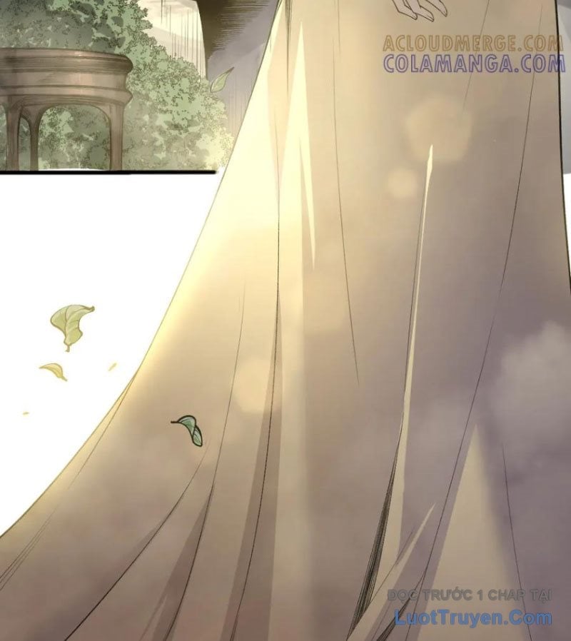 Thảm Họa Tử Linh Sư Chapter 215 - Trang 2