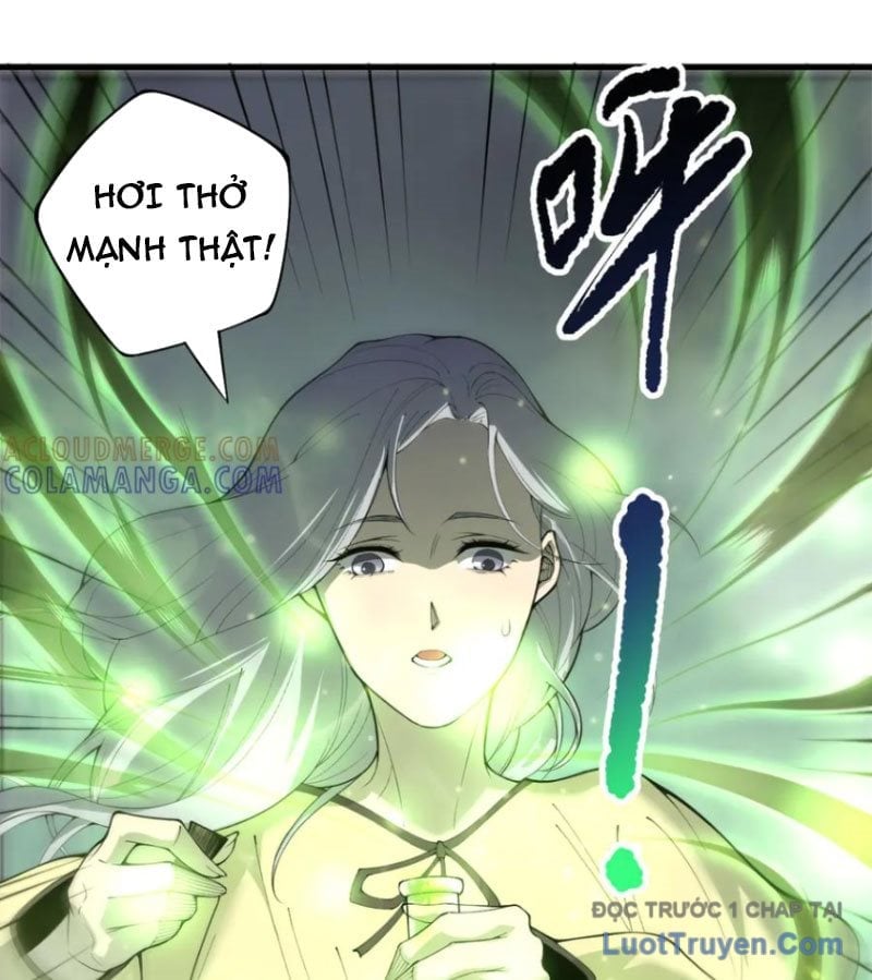 Thảm Họa Tử Linh Sư Chapter 215 - Trang 2