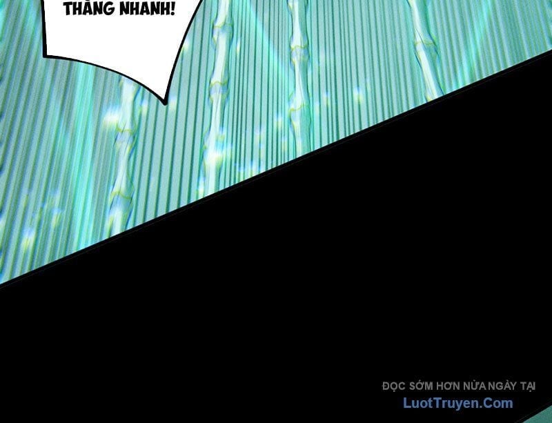 Thảm Họa Tử Linh Sư Chapter 224 - Trang 2