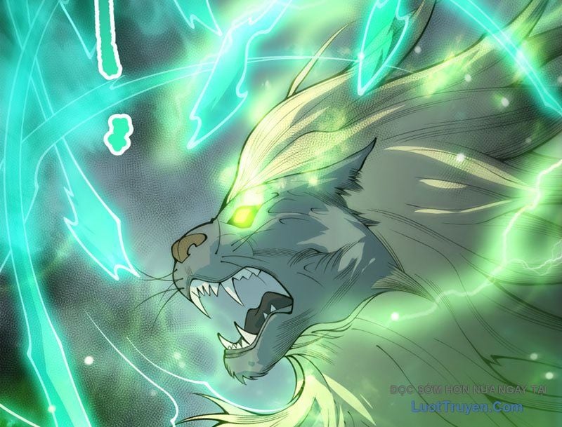 Thảm Họa Tử Linh Sư Chapter 228 - Trang 2