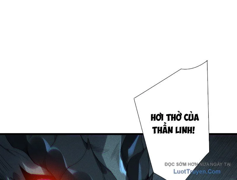 Thảm Họa Tử Linh Sư Chapter 228 - Trang 2