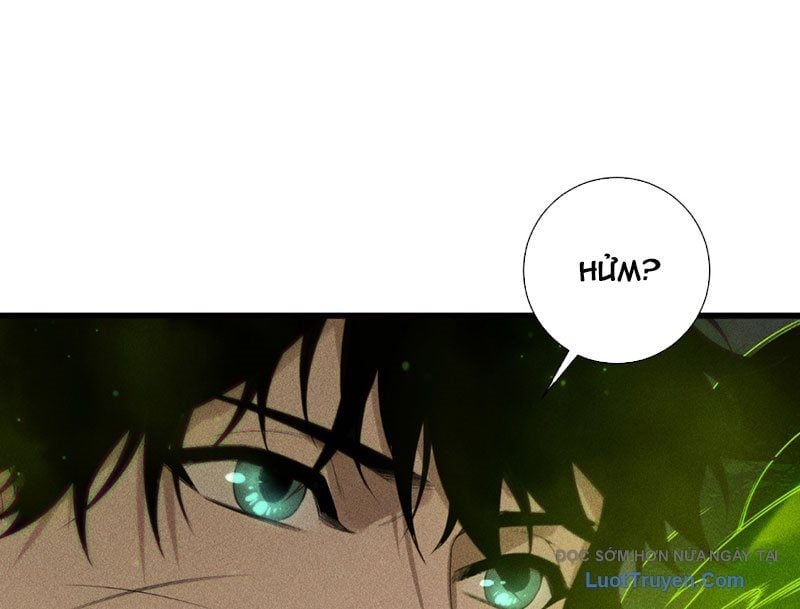 Thảm Họa Tử Linh Sư Chapter 228 - Trang 2