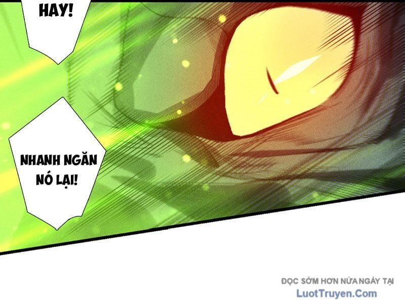 Thảm Họa Tử Linh Sư Chapter 228 - Trang 2