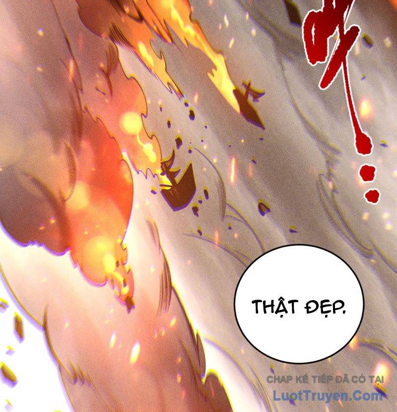 Thảm Họa Tử Linh Sư Chapter 229 - Trang 2