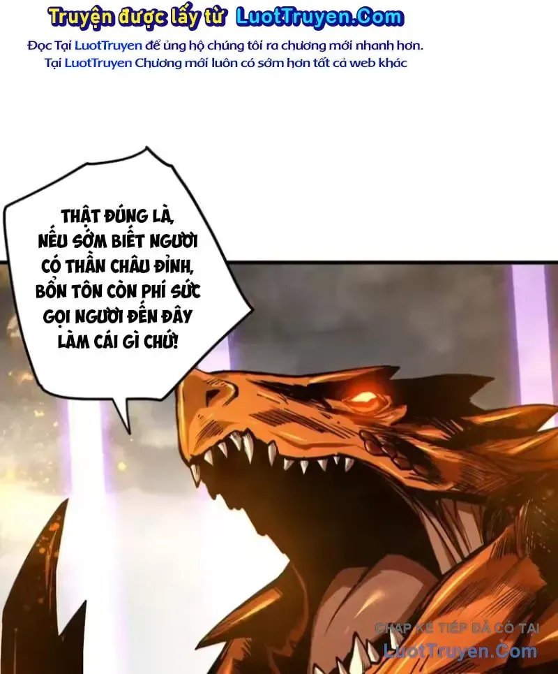 thảm họa tử linh sư Chapter 253 100