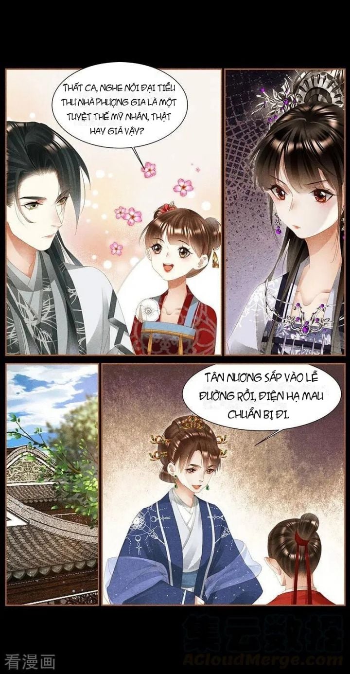 Thần Y Đích Nữ Chapter 368 - Trang 4