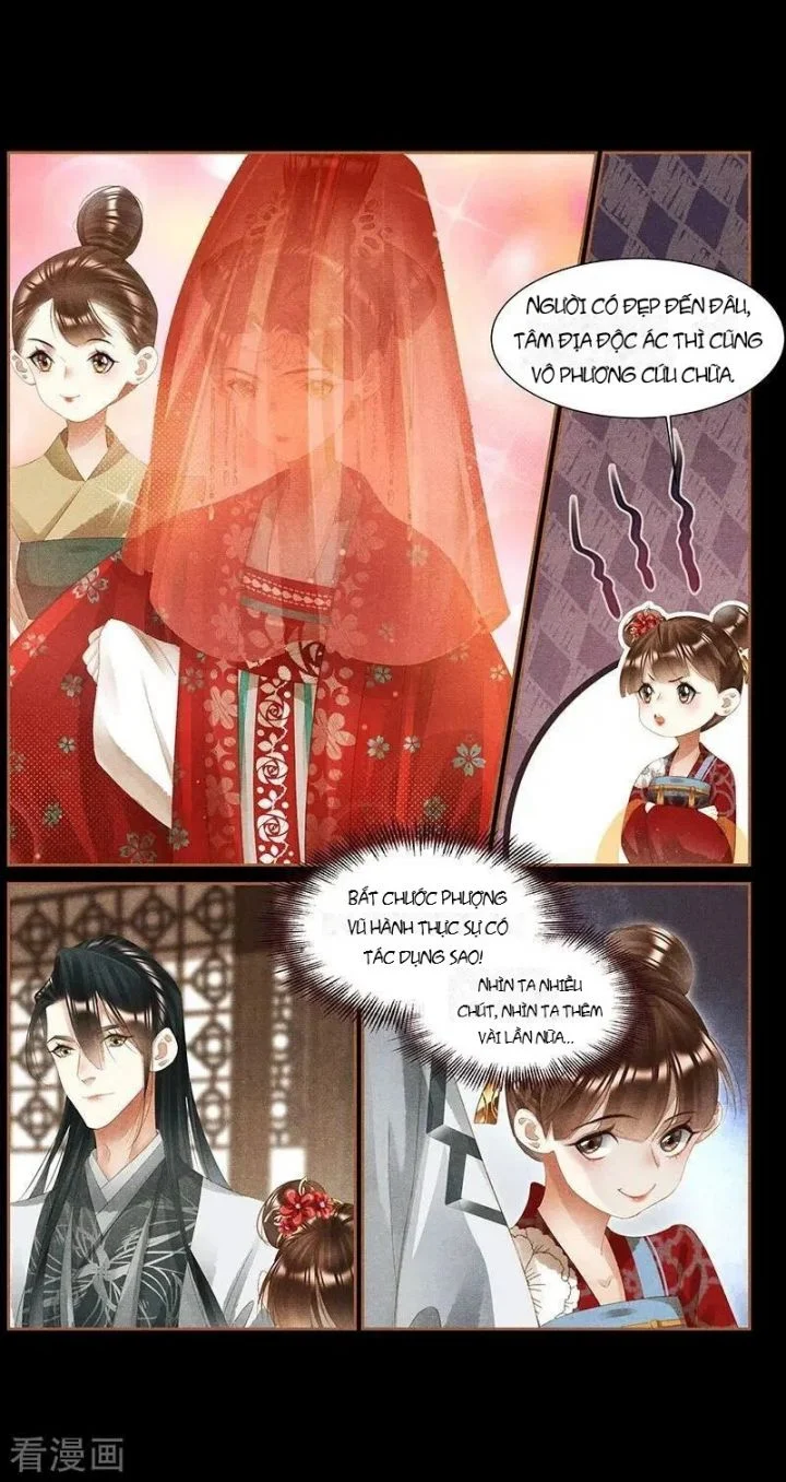 Thần Y Đích Nữ Chapter 368 - Trang 4