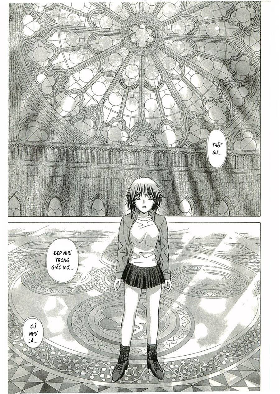 Thánh Chiến Ký Elna Saga Chapter 86 - Trang 2