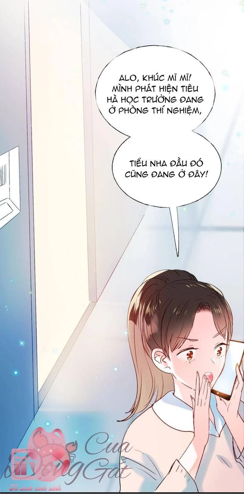 Thành Dã Tiêu Hà Chapter 41 - Next 