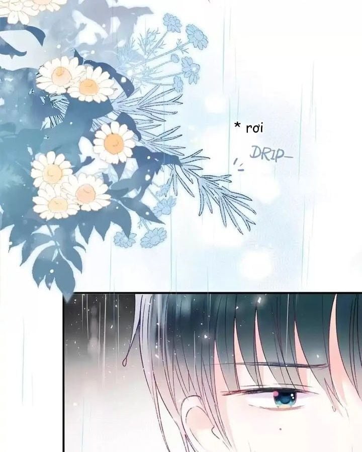 Thành Dã Tiêu Hà Chapter 61 - Trang 2