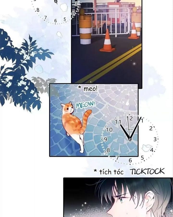 Thành Dã Tiêu Hà Chapter 67 - Trang 2