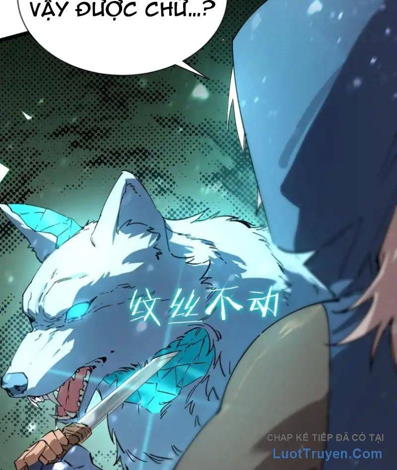 Thánh Hiệp Sĩ Cấp Sss Chapter 113 47