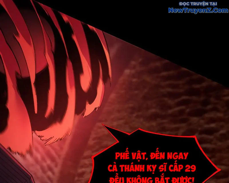 Thánh Hiệp Sĩ Cấp Sss Chapter 75 - Trang 2