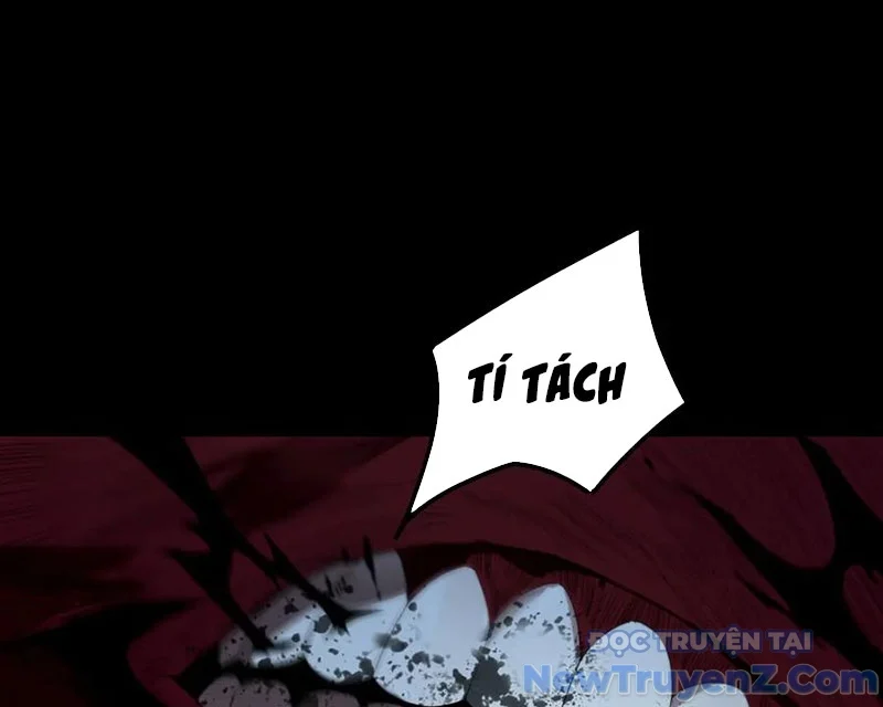 Thánh Hiệp Sĩ Cấp Sss Chapter 77 - Next 