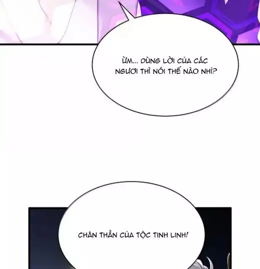 Thánh Nữ, Xin Hãy Dừng Ngay Những Trò Quái Đản Của Cô Đi!! Chapter 112 - Trang 4